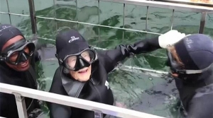 امرأة معمرة تخوض تجربة الغوص مع القرش