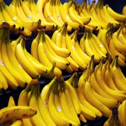  هل صحيح أن الموز يحتوي على الدهون؟