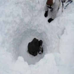 بعد أن دفن في الجليد 6 أيام.. العثور على جندي هندي حياً