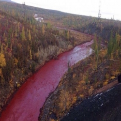 نهر في روسيا يتحول ماؤه إلى لون الدم