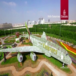 فيديو- أكبر طائرة مصنوعة من الزهور فى العالم