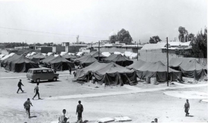 مكتبة صور نادرة للجوء الفلسطيني - الجزء الثاني