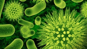 علماء يبتكرون بكتيريا لا يمكنها "العيش" بدون الإنسان