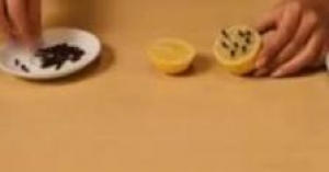 بالفيديو- أسرع وأسهل طريقة لإبعاد الذباب والبرغش عن مائدة الطعام! السر في القرنفل!