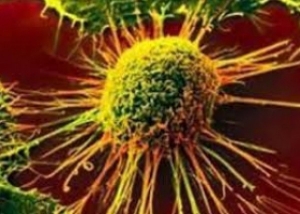 تقدم علمي مذهل: دواء جديد يقضي على السرطان