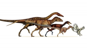ديناصورات تتحول إلى طيور بعد 50 مليون سنة