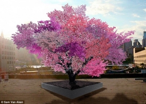 شجرة سحرية تنتج 40 نوعًا من الفاكهة