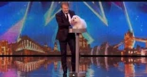 كلب تكلم على الهواء في برنامج المواهب البريطاني