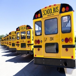 لماذا اختاروا اللون الاصفر لباصات المدارس وبدون حزام أمان؟