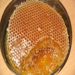 العسل للقضاء على الفطريات وعلاج الجروح