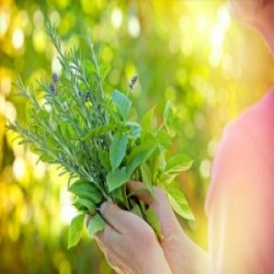  6 أعشاب لها مفعول السحر على صحة المرأة