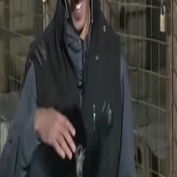 بالفيديو:شاب سعودي يتحدث مع الحيوانات المفترسة وتستجيب له