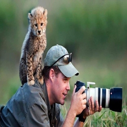 الحيوانات تختار مشاركة المصورين لحظات التصوير