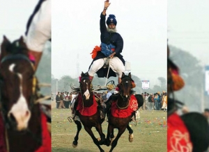 للفروسية معنى آخر في الهند.. امتطاء حصانين بطولة بحد ذاتها.